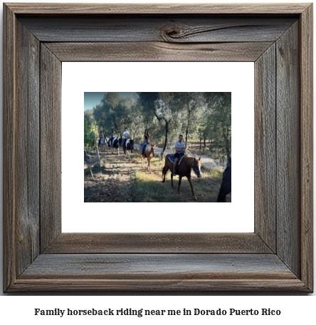 family horseback riding near me in Dorado, Puerto Rico